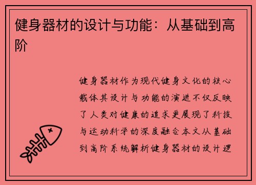 健身器材的设计与功能：从基础到高阶